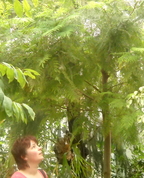 244670_99601_profile