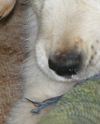 250555_57690_profile