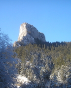 262333_73770_profile