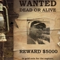 262411_72338_card