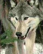 264014_14466_profile