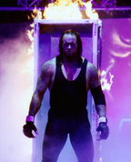 264290_97765_profile