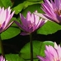 266019_25869_card
