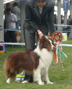 266935_28593_profile