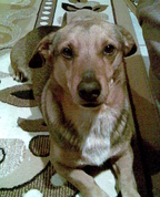272080_27371_profile