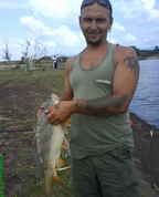 272170_71661_profile