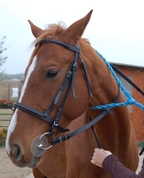 272746_76391_profile