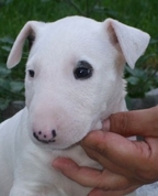 277532_15661_profile