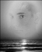 277674_84197_profile