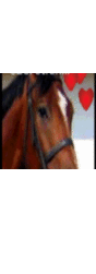 277828_24133_card