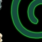 282129_89400_card