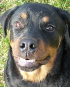 282169_81849_profile