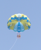 282485_23644_profile
