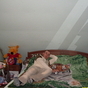 282598_64727_card