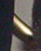 282800_79482_profile