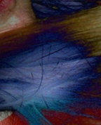 282969_74622_profile