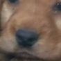 284747_57701_card