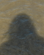 280276_30301_profile