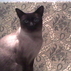 292026_76706_tiny