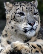 292577_20513_profile