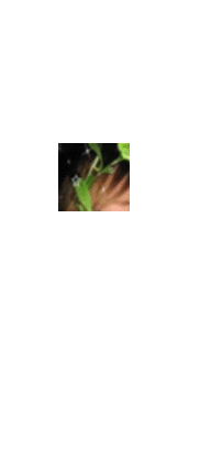 299396_69251_card