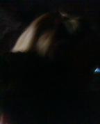 299491_44995_profile