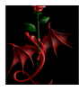 299523_95239_card