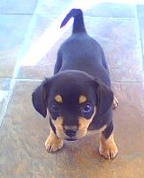 299625_98714_profile