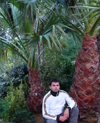313143_84497_profile
