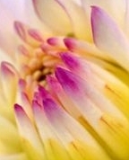 322282_29041_profile