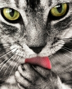 322400_13128_profile