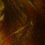 322749_75715_card