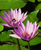 324520_11707_profile