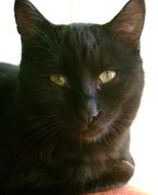 331393_33050_profile