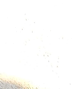 331589_79459_profile