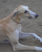 331631_17299_profile