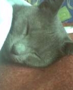 332920_59118_profile