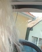 333071_41891_profile