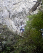 333560_15136_profile