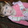 333574_58543_mini