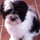 336258_69562_mini