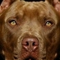 337228_16776_card