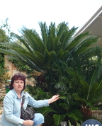337342_73159_profile