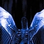 337725_57901_card