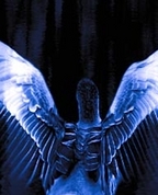 337725_57901_profile