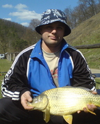 337899_62109_profile