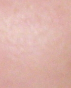 339169_52411_profile