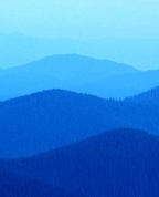 339288_26591_profile