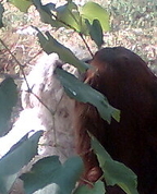 339316_97988_profile