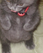 339556_57253_profile